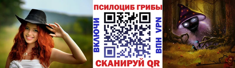 Купить  Пойковский  Псилоцибиновые грибы Cubensis 